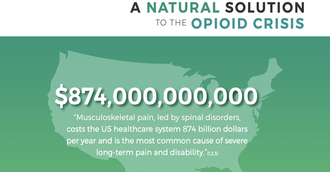 Beat Low Back Pain and Avoid Opioids with Chiropractic Care in Eugene image