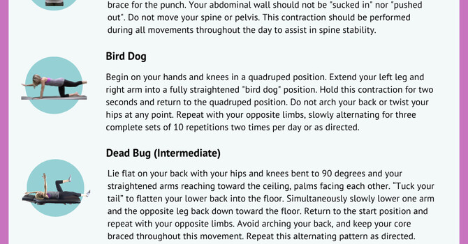 Chronic Low Back Pain? It Might Be Linked to Weak Spinal Muscles!  image
