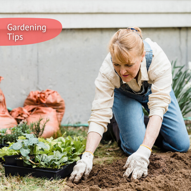 Best Eugene chiropractor gardening